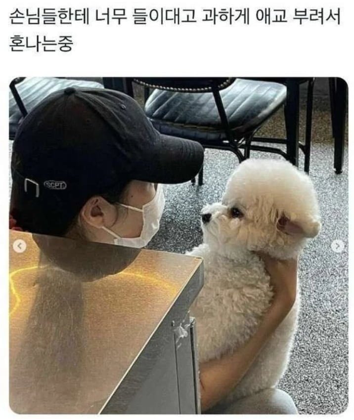 실시간 무료 스포츠중계는 우주티비에서 봅니다