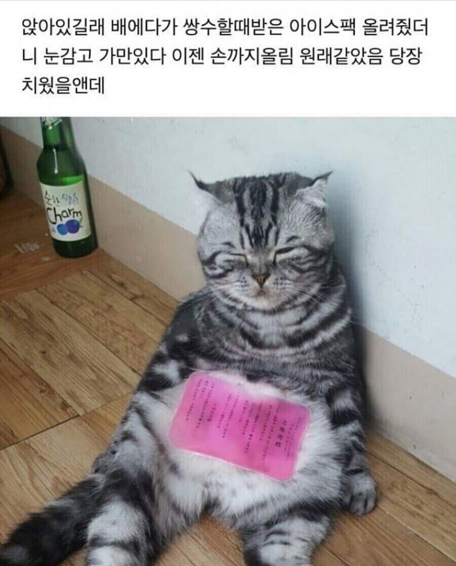 우주티비 스포츠중계 해외축구중계 넘버원